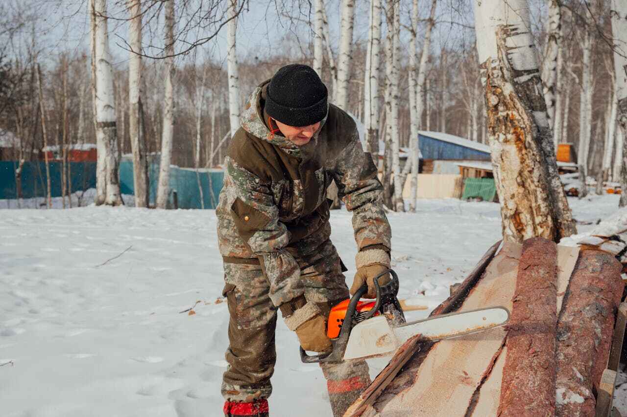 Residential Tree Removal in Comanche, TX